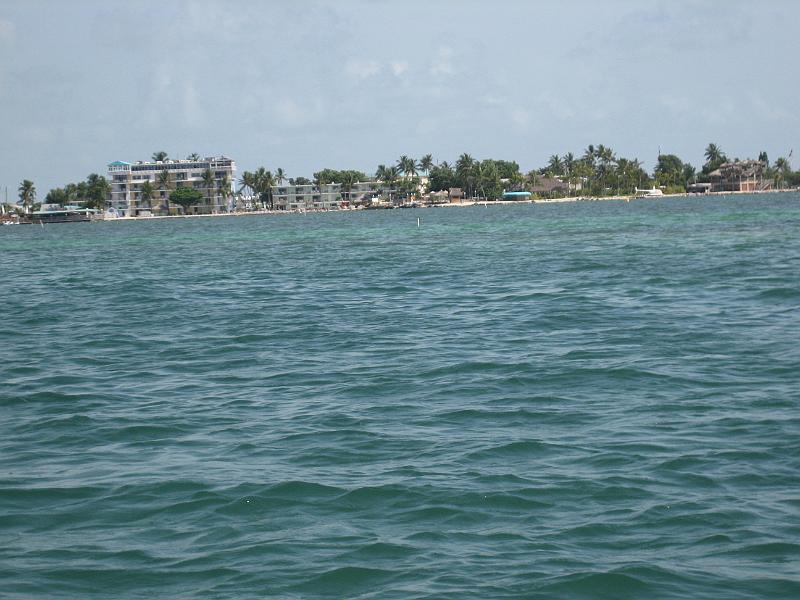 Picture 009